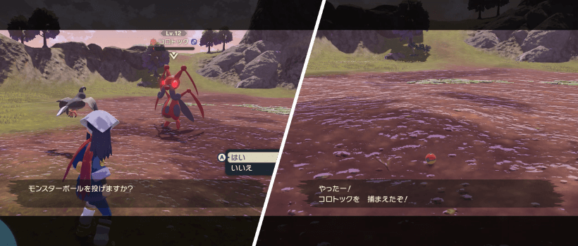 画像
